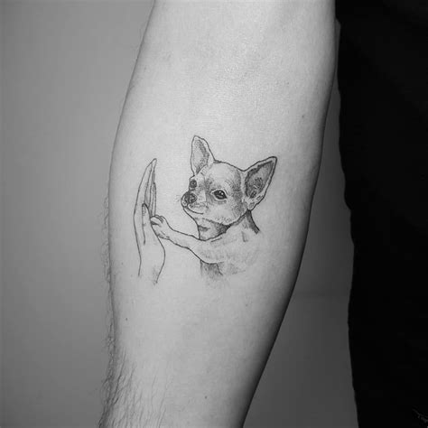 tatuajes de perros chihuahuas|36 Chihuahua tattoos ideas .